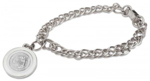 Charm Bracelet Gold or Silver