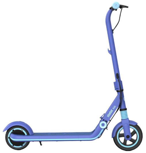 Segway Ninebot eKickScooter ZING E8 for Kids - Electric Scooter - Blue