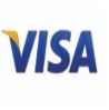 $100 Visa Card